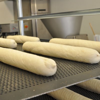 Seamless baguettes and breads with moulder MO881 Glimek